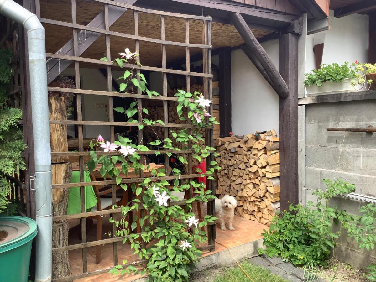 Ferienwohnung Magnolia Garden Miskolc Exterior foto