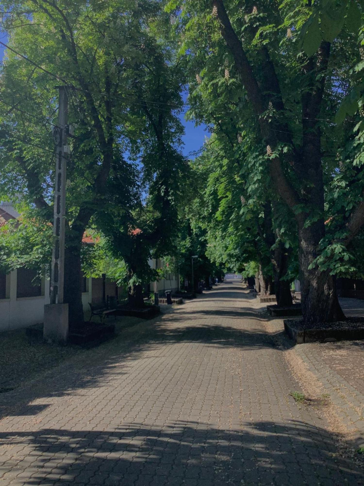 Ferienwohnung Magnolia Garden Miskolc Exterior foto