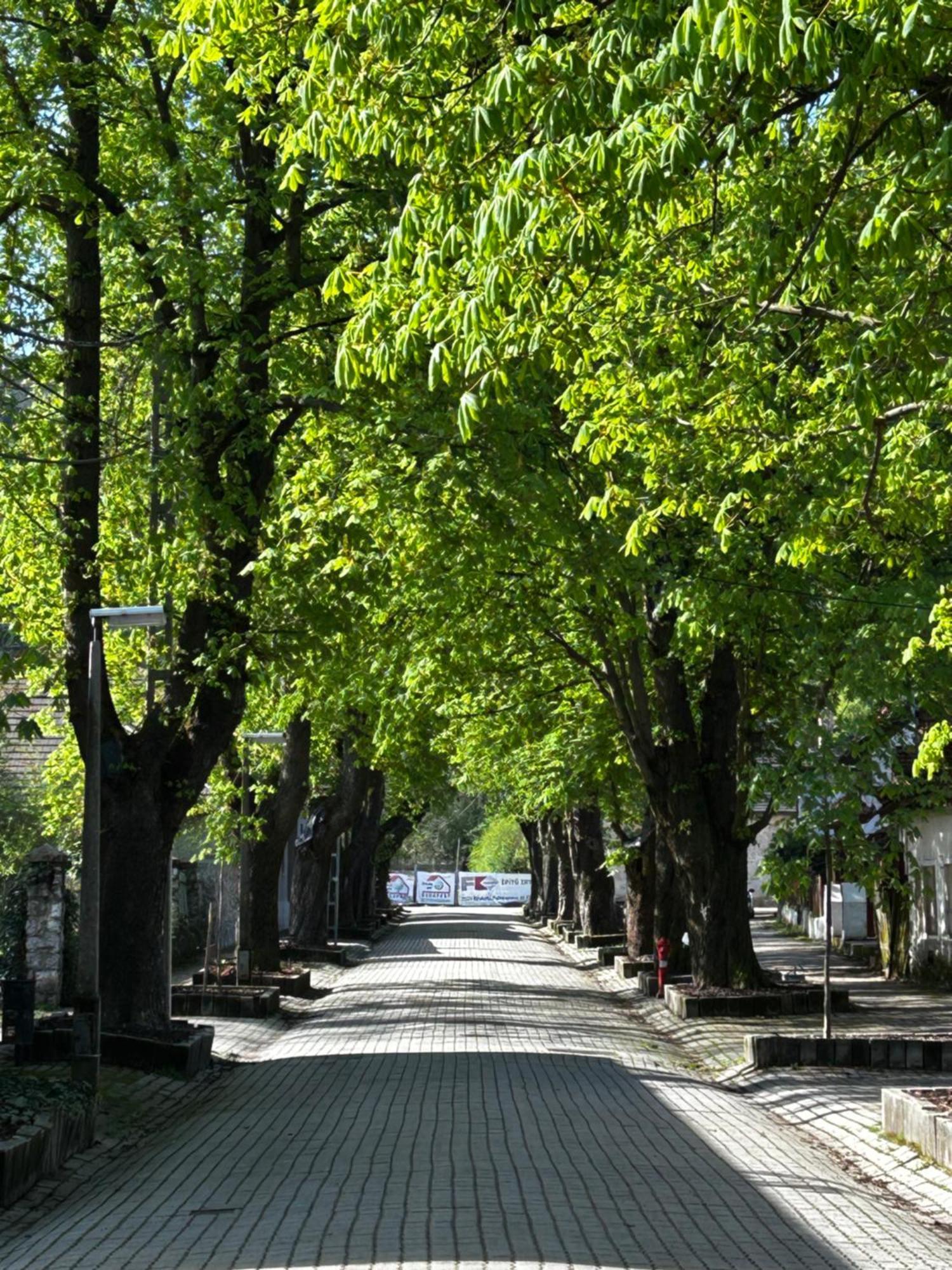 Ferienwohnung Magnolia Garden Miskolc Exterior foto